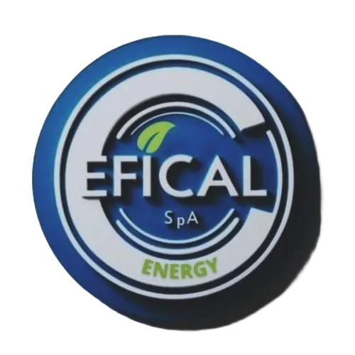 EFICAL SpA Logo