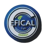 Logo de Efical
